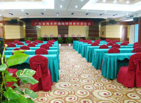 Ocean International Hotel Trạm Giang Tiện nghi bức ảnh